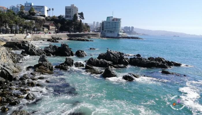 Viña del Mar - Detalhes da Cidade