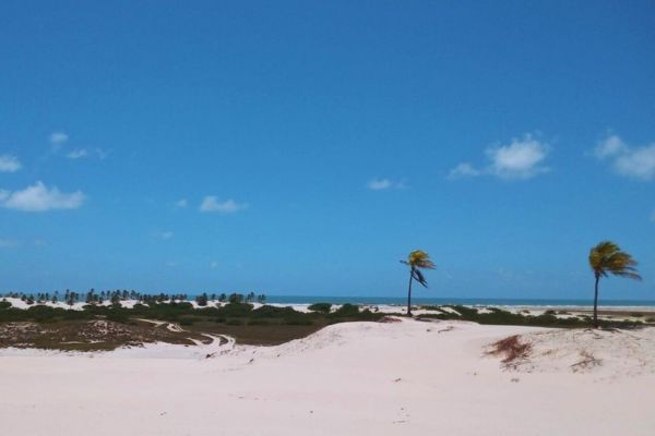 Paisagem de Mangue Seco - Cenário da novela Tieta do Agreste