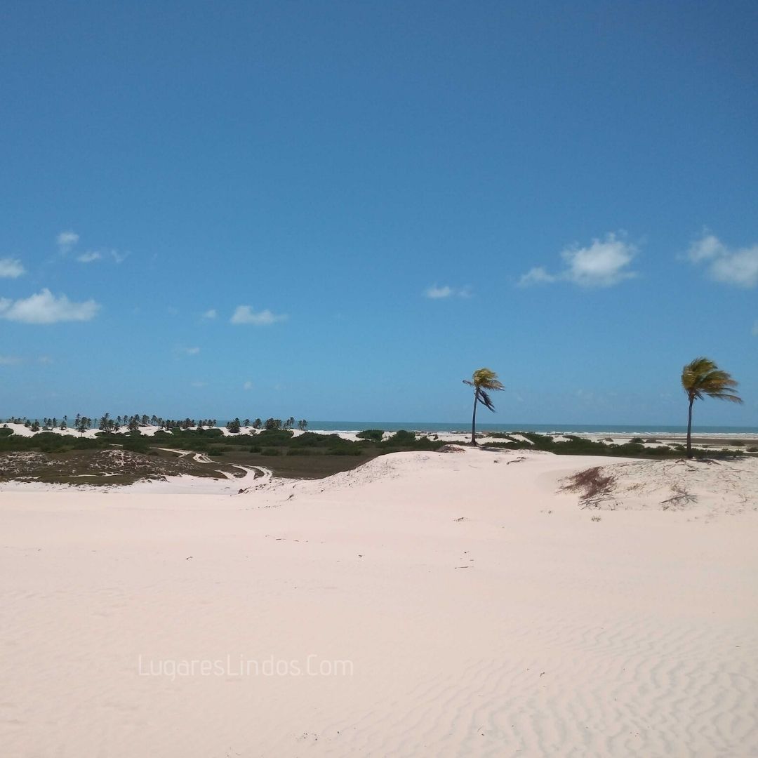 Mangue Seco: A Terra da Tieta