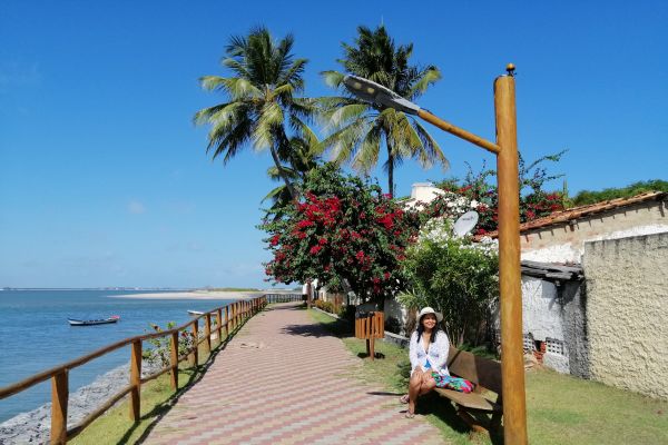 Orlinha de Mangue Seco